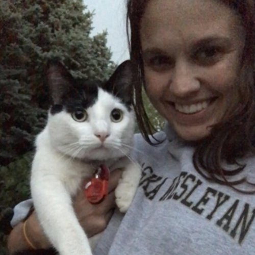 Cats