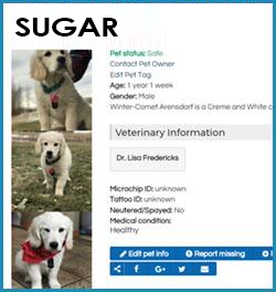 Detailed pet profile