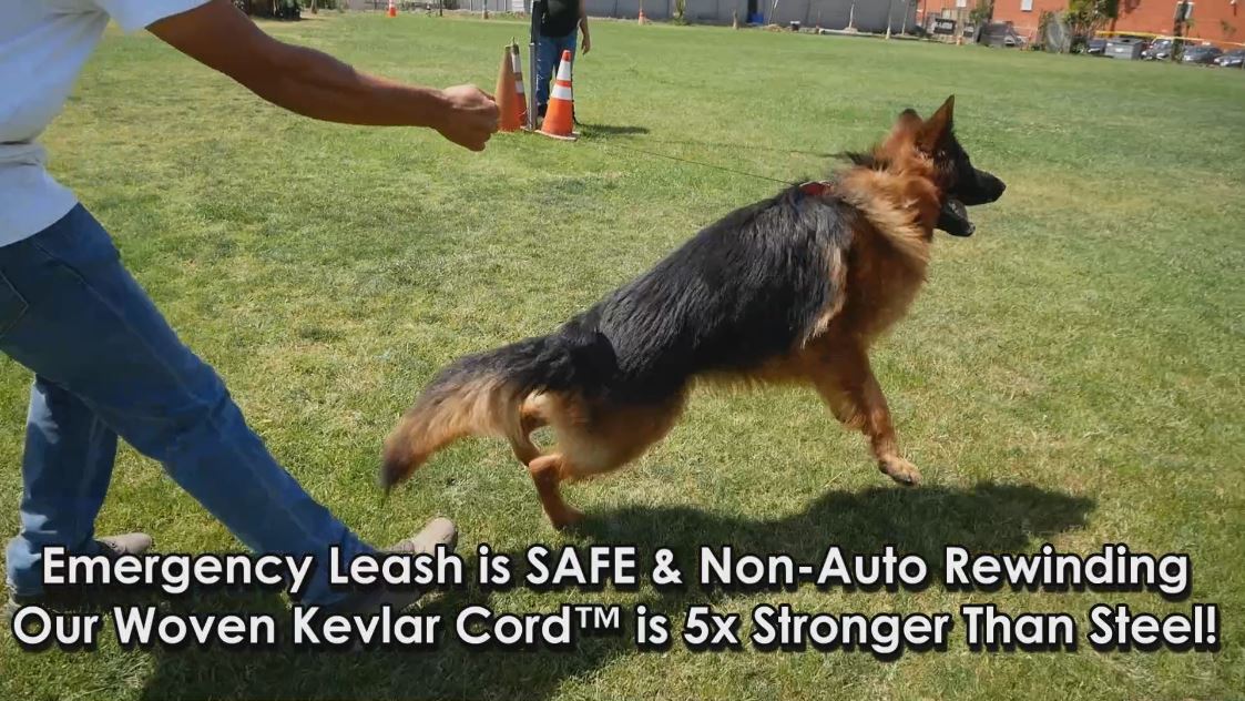Emergency Leash - Emergency Leash
