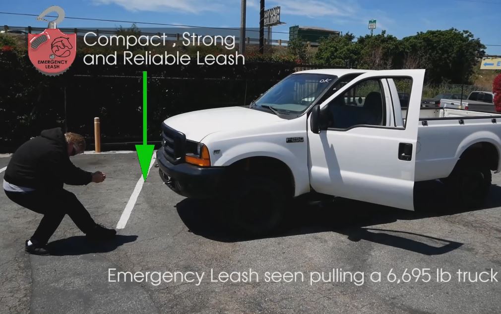 Emergency Leash - Emergency Leash