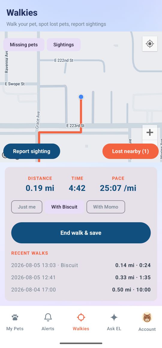 A walk in progress, with the route drawn on the map and live distance, time and pace