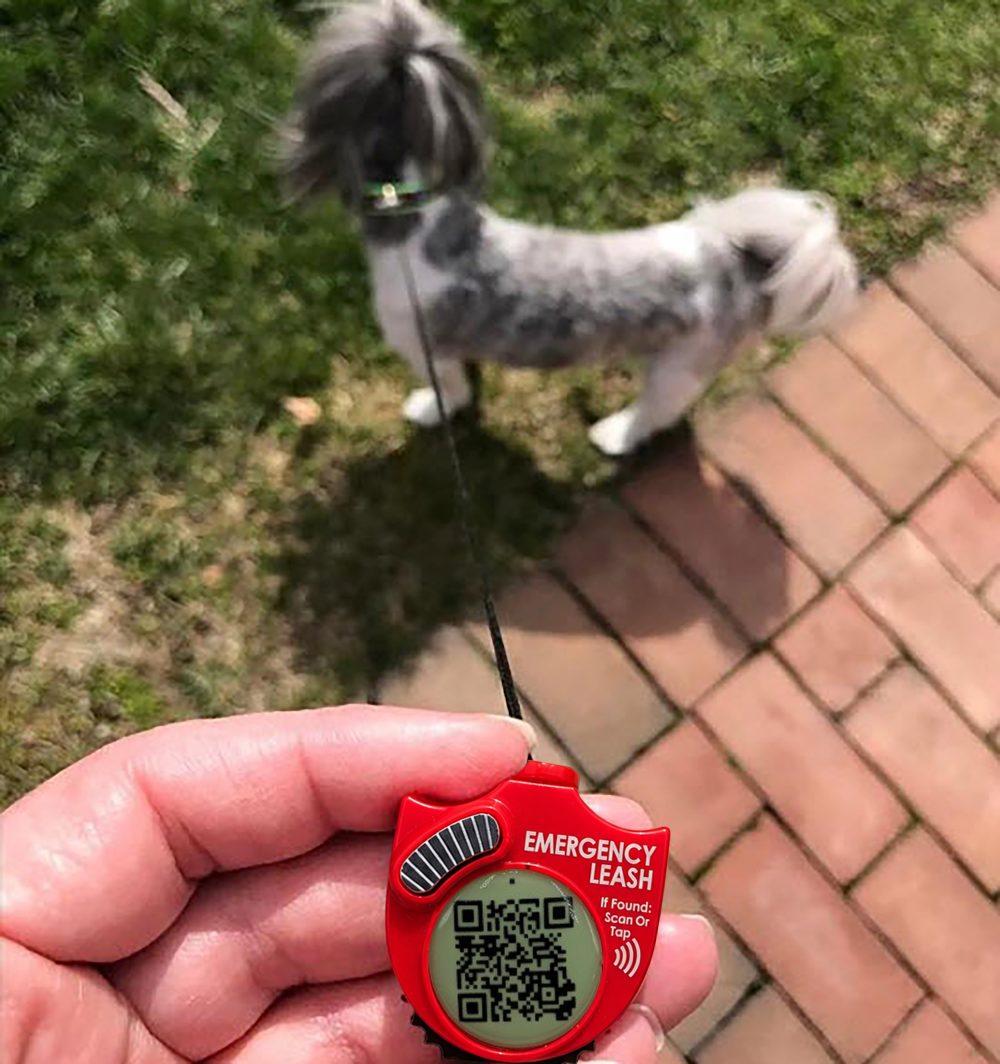 A hand holding the red Emergency Leash with its Kevlar cord run out to a small dog standing ahead on the grass