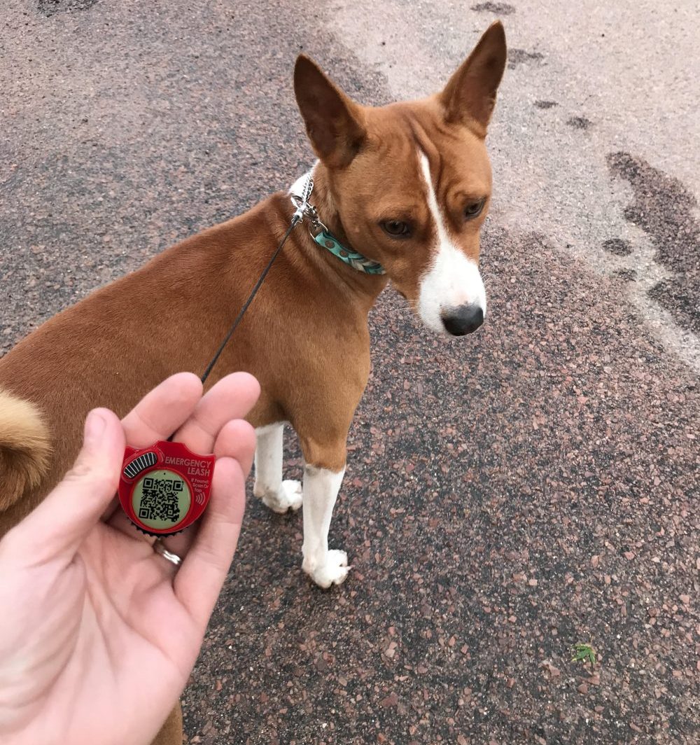 A hand holding the red Emergency Leash tag, its Kevlar cord run out to a tan dog standing on the road ahead