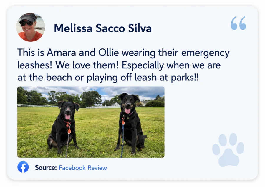 Melissa Sacco Silva on Facebook: This is Amara and Ollie wearing their emergency leashes! We love them! Especially at the beach or playing off leash at parks!